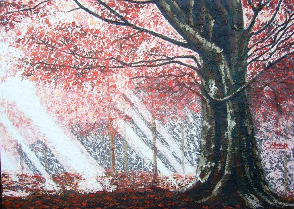Luz en el bosque Maite Albors