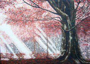 Luz en el bosque Maite Albors